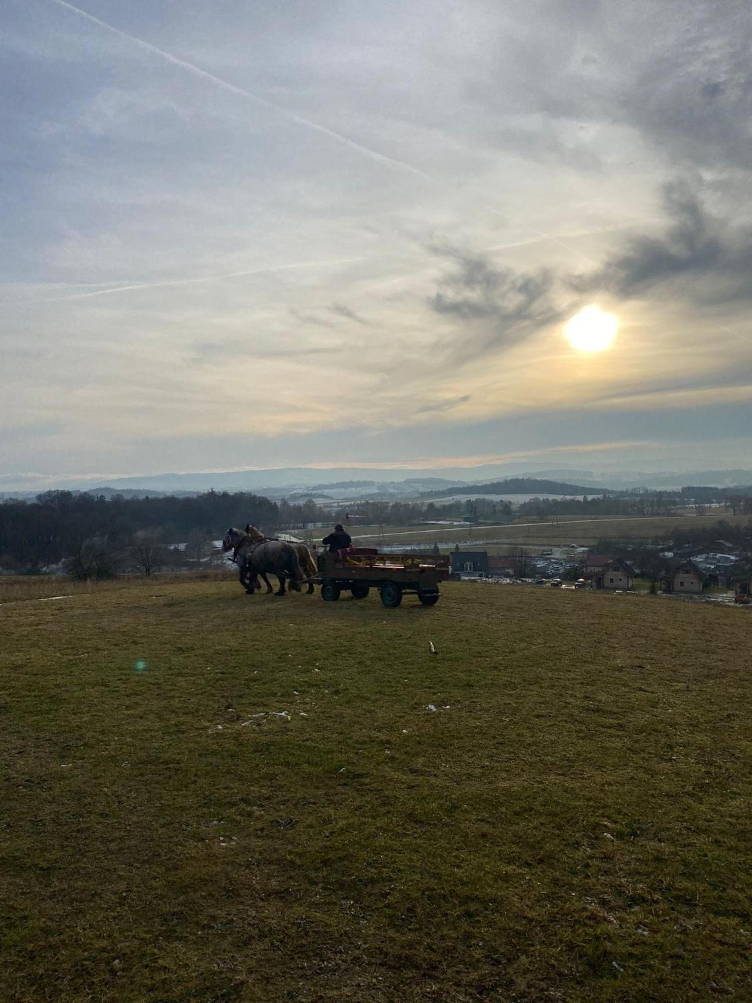 Domki Osada Bozkow W Kotlinie Klodzkiej Dış mekan fotoğraf